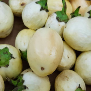 Kleine weiße Aubergine 100g